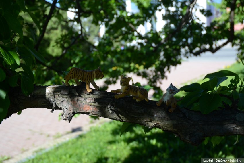 Когда в субботу хотел поспать подольше (фото 3)