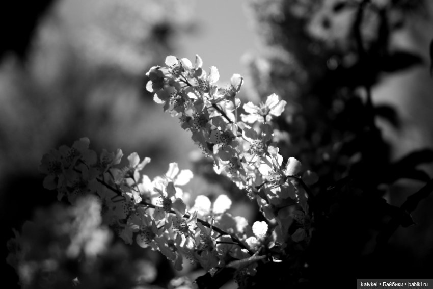 Когда в субботу хотел поспать подольше