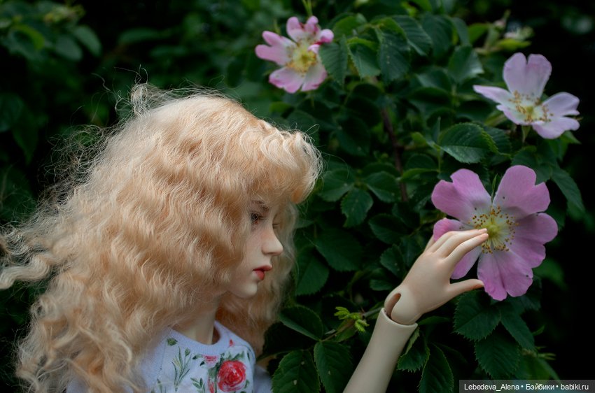 Марта и цветочное настроение (фото 5)