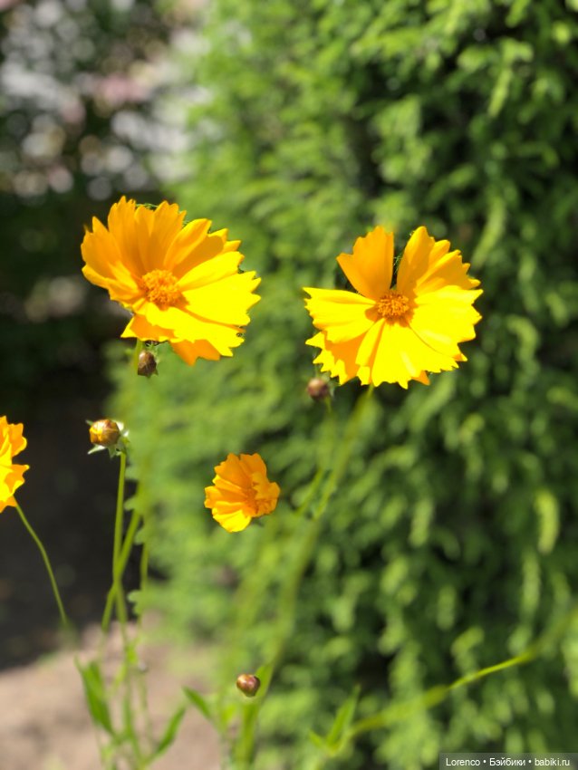 Любителям ПРЕКРАСНОГО посвящается (фото 2)