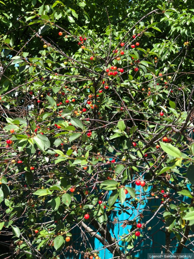 Любителям ПРЕКРАСНОГО посвящается