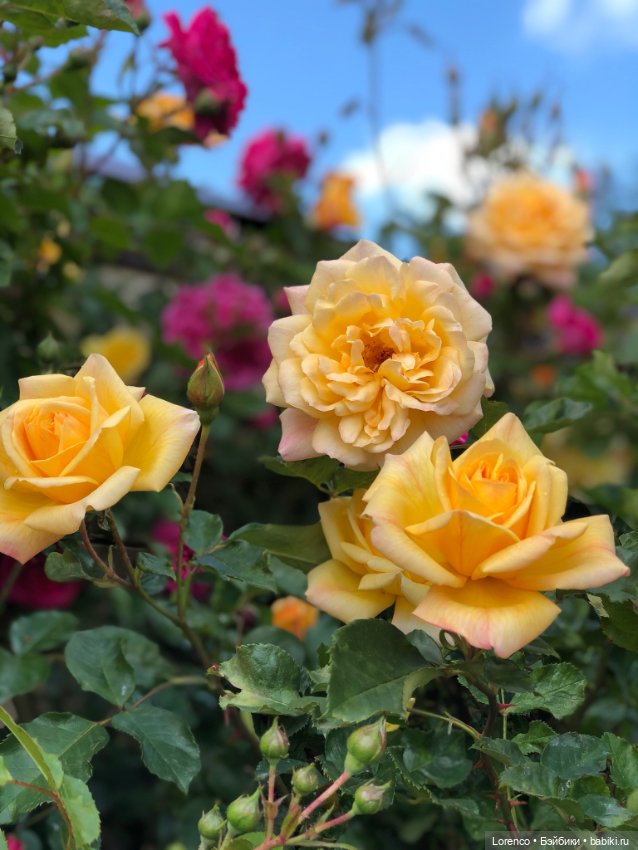 Любителям ПРЕКРАСНОГО посвящается