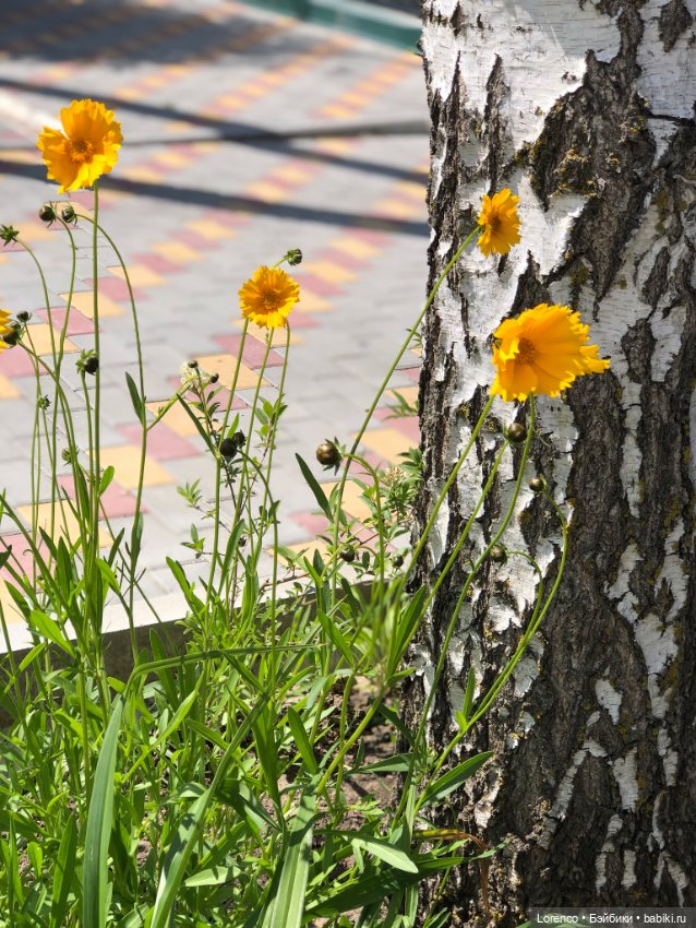 Любителям ПРЕКРАСНОГО посвящается (фото 3)