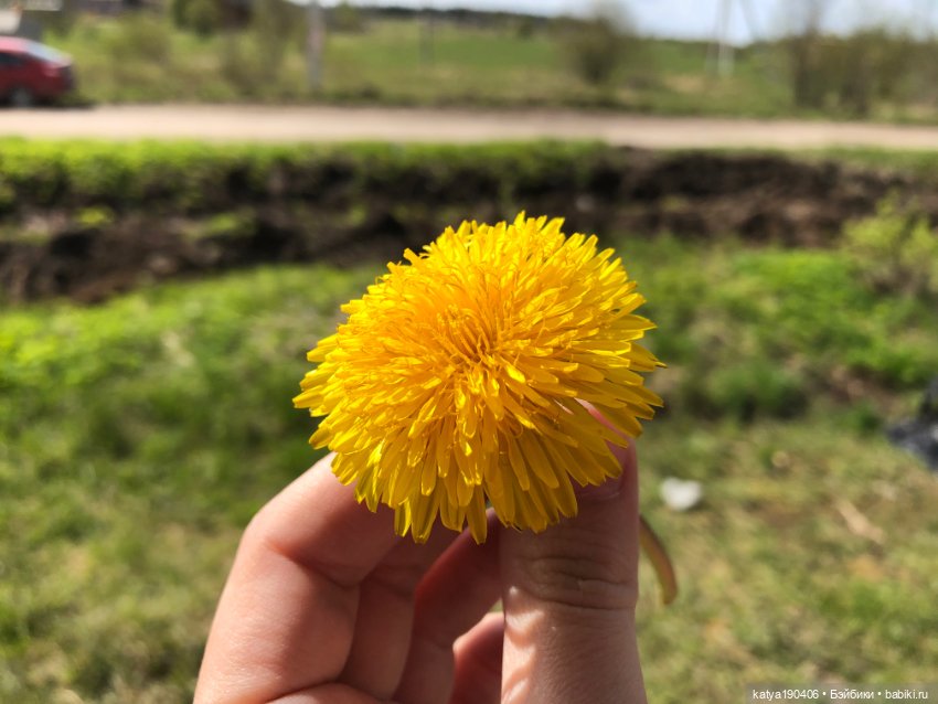 Лето, солнце, жара, Блайз (фото 10)