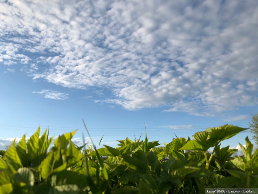 Лето, солнце, жара, Блайз