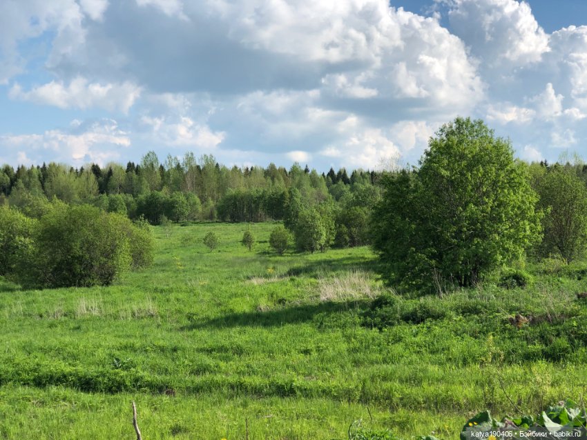 Лето, солнце, жара, Блайз (фото 7)