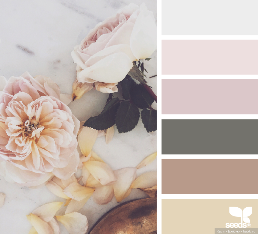 Варианты сочетания цветов