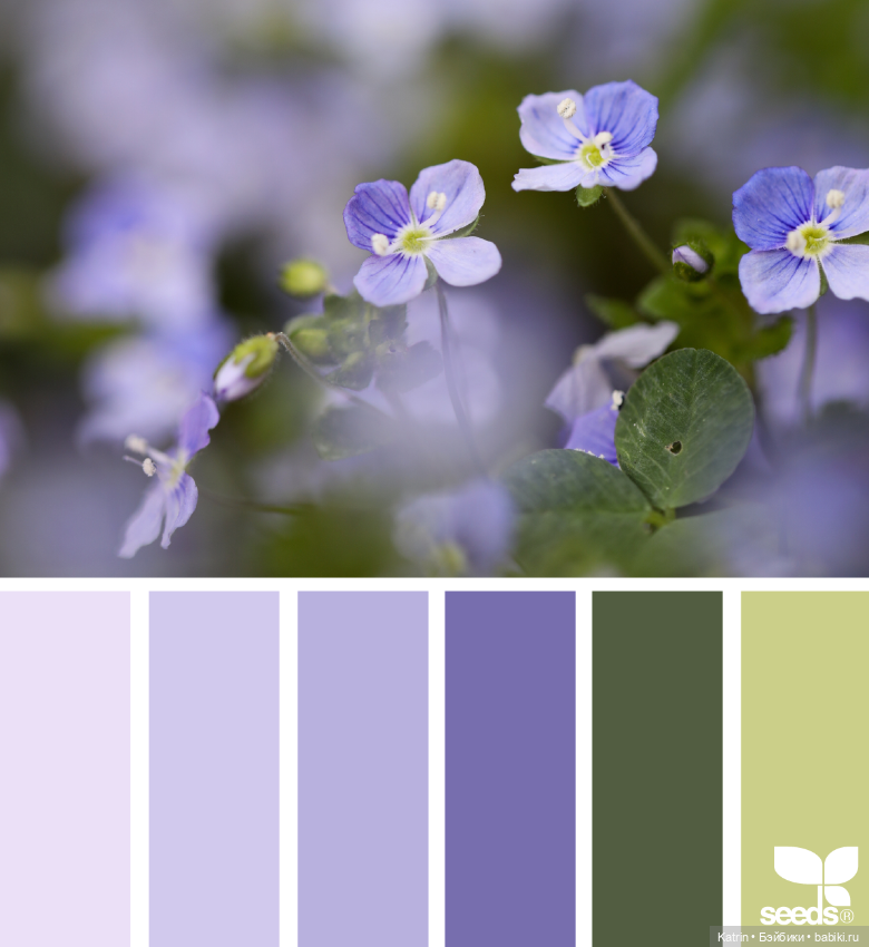 Варианты сочетания цветов
