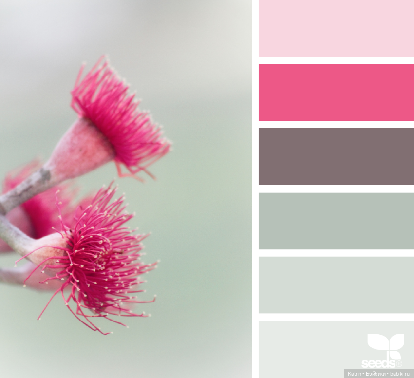 Варианты сочетания цветов