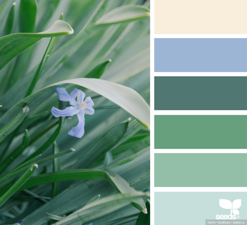 Варианты сочетания цветов (фото 3)