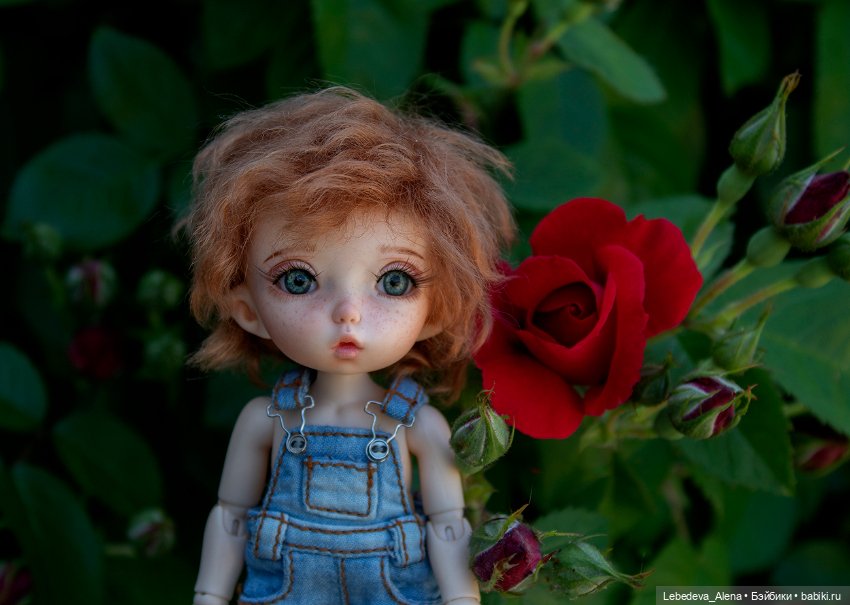 Яшка, эльф рыжий, любимый