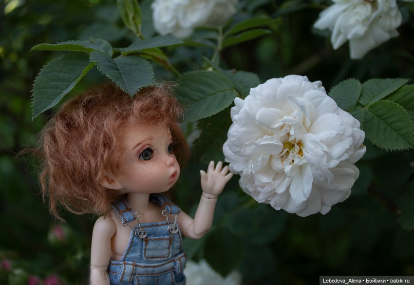 Яшка, эльф рыжий, любимый