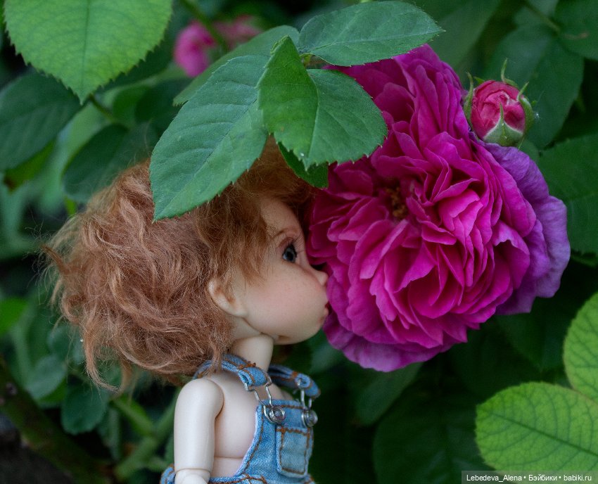 Яшка, эльф рыжий, любимый