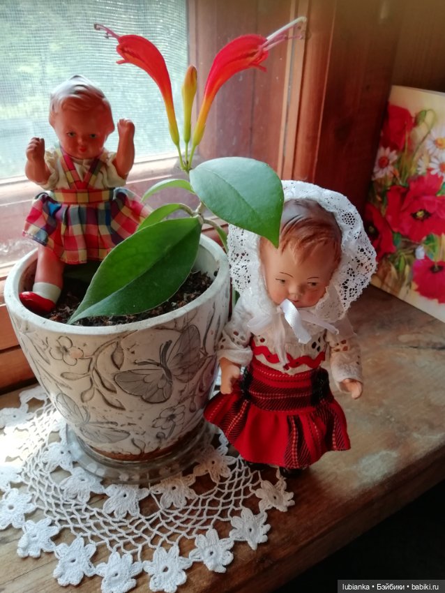 Мои летние кукольно-вазочно-цветочные пазлы