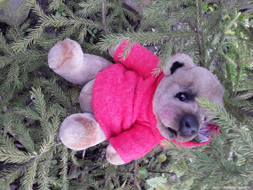 Мишутка Тедди — Авторские мишки Тедди и друзья: фото (фото 3)