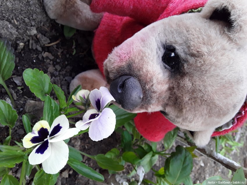 Мишутка Тедди — Авторские мишки Тедди и друзья: фото (фото 2)