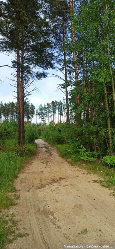 Вечерняя прогулка Джой — Куклы Kathe Kruse (Кате/Кэте Крузе): фото (фото 8)