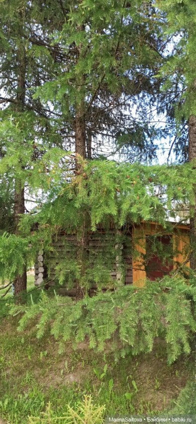 Вечерняя прогулка Джой — Куклы Kathe Kruse (Кате/Кэте Крузе): фото (фото 5)