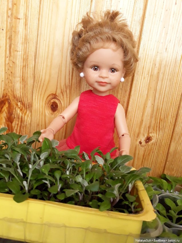 Наши петунии — Другие хобби и увлечения: сад