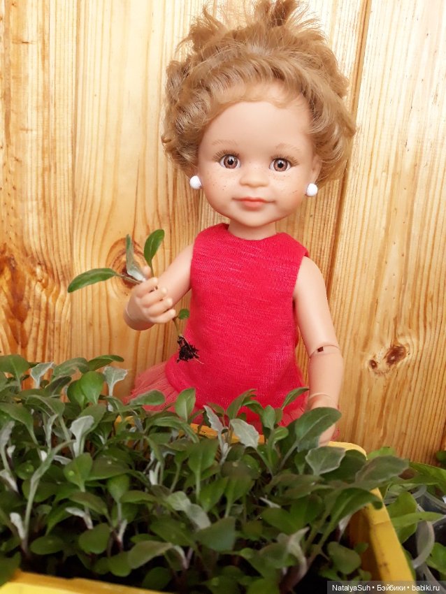 Наши петунии — Другие хобби и увлечения: сад (фото 2)