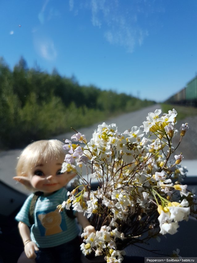 Прогулка — Куклы Fairyland (ФэйриЛэнд): BJD (БЖД)