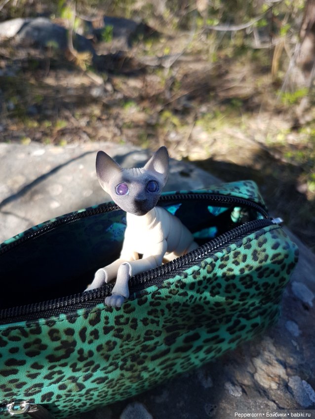 Прогулка — Куклы Fairyland (ФэйриЛэнд): BJD (БЖД)