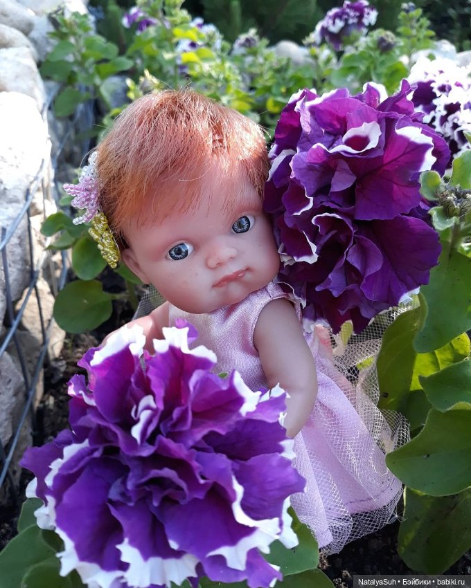 Наши петунии — Другие хобби и увлечения: сад (фото 6)