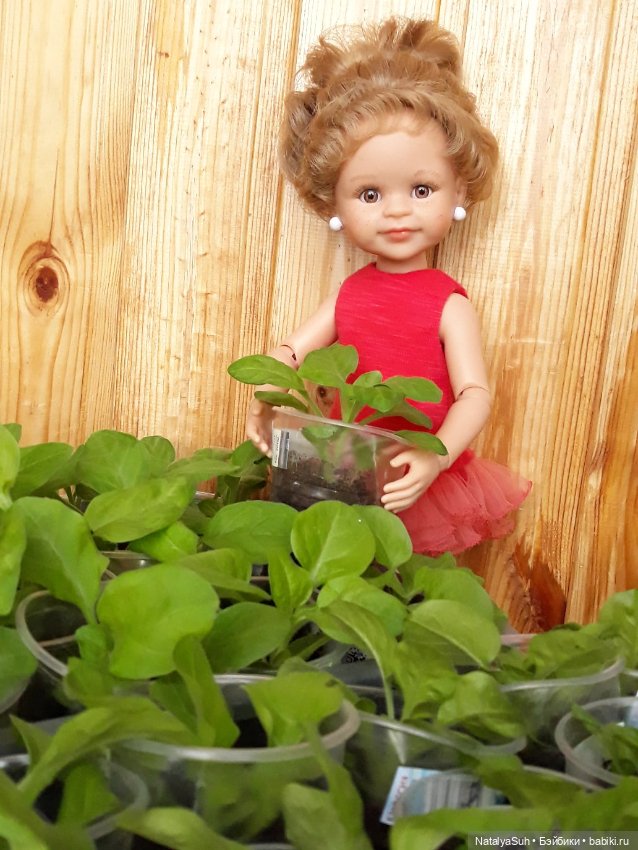 Наши петунии — Другие хобби и увлечения: сад (фото 3)