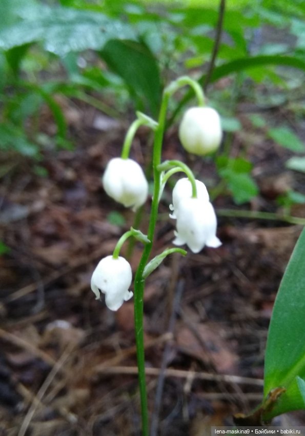 Человечки из детства — Игрушки СССР и советского детства: резиновые