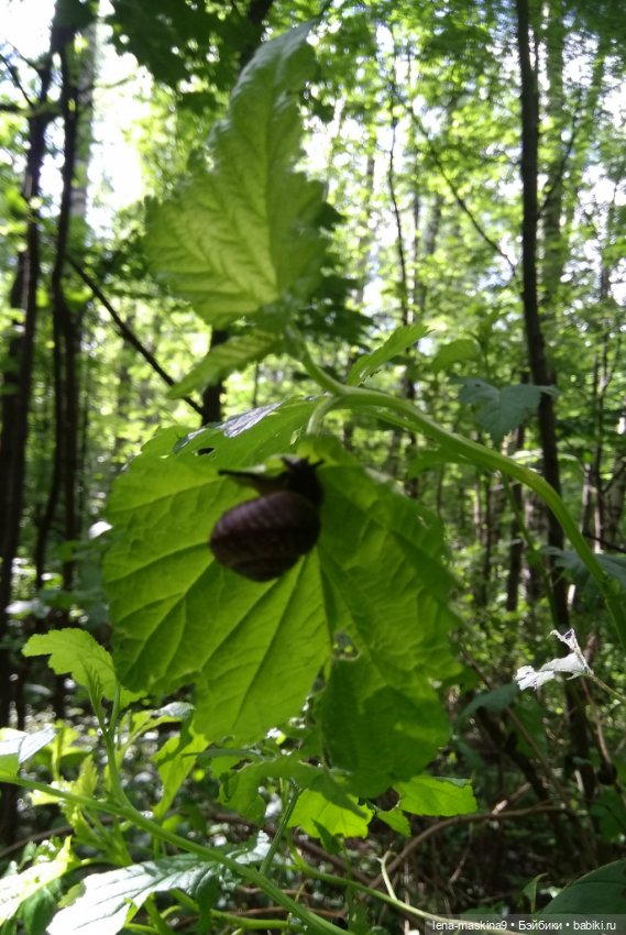 Человечки из детства — Игрушки СССР и советского детства: резиновые