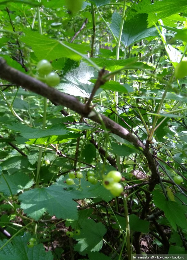 Человечки из детства — Игрушки СССР и советского детства: резиновые