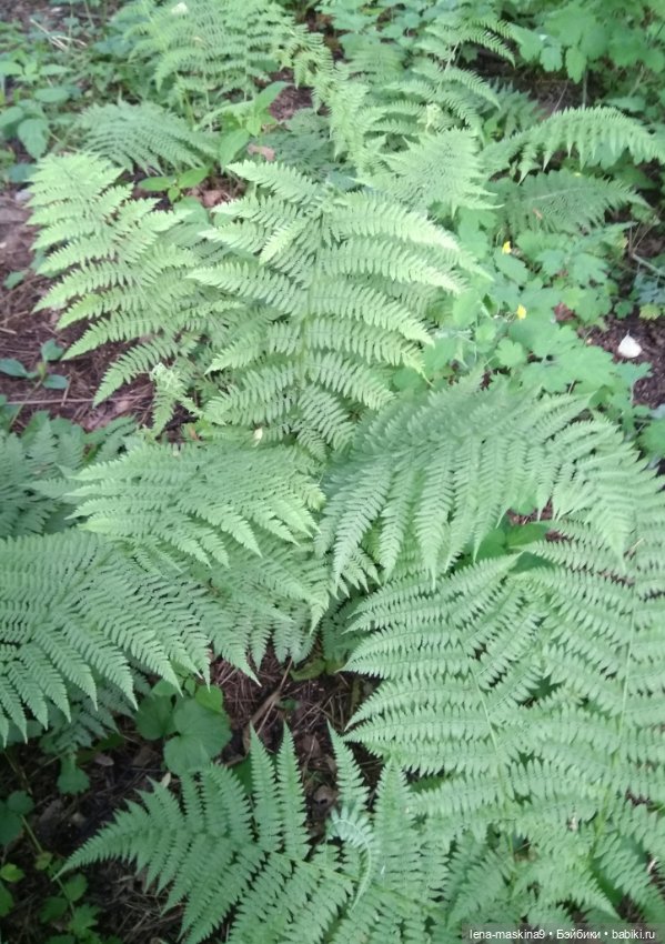 Человечки из детства — Игрушки СССР и советского детства: резиновые