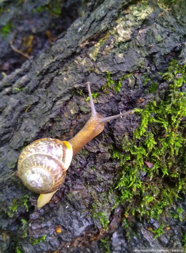 Человечки из детства — Игрушки СССР и советского детства: резиновые