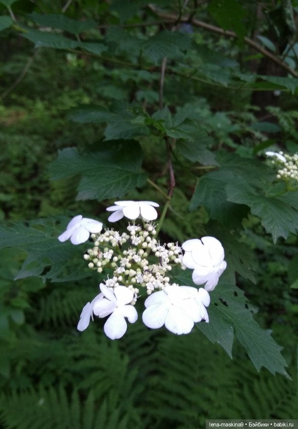 Человечки из детства — Игрушки СССР и советского детства: резиновые