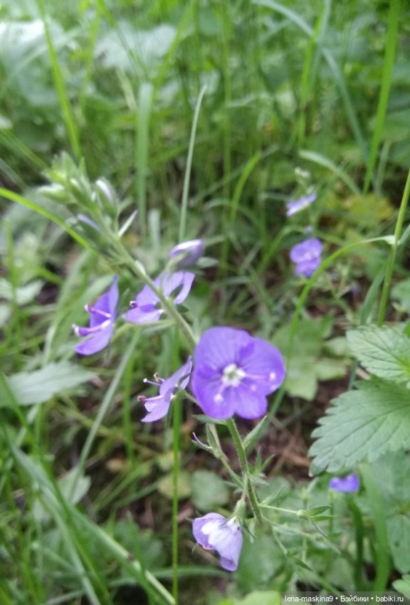 Человечки из детства — Игрушки СССР и советского детства: резиновые