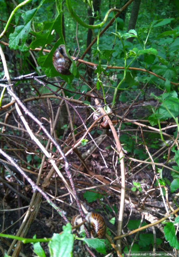 Человечки из детства — Игрушки СССР и советского детства: резиновые