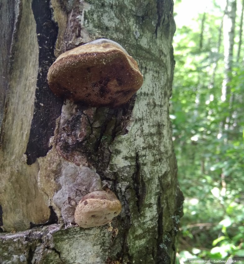 Человечки из детства — Игрушки СССР и советского детства: резиновые