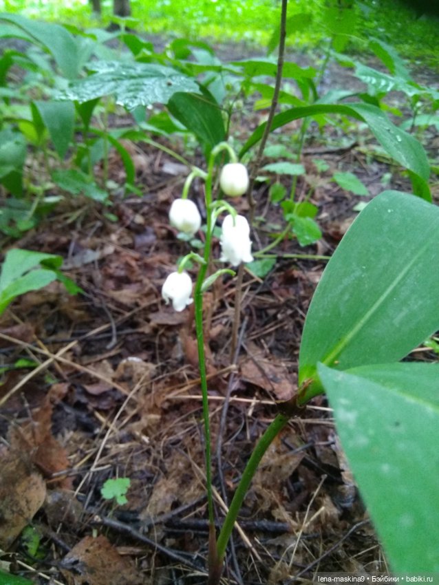 Человечки из детства — Игрушки СССР и советского детства: резиновые