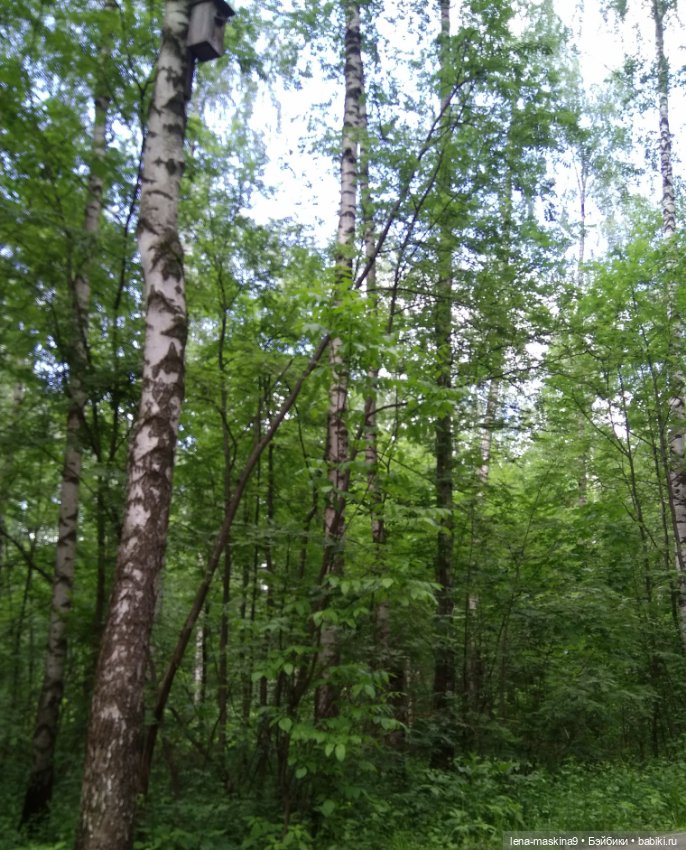 Человечки из детства — Игрушки СССР и советского детства: резиновые