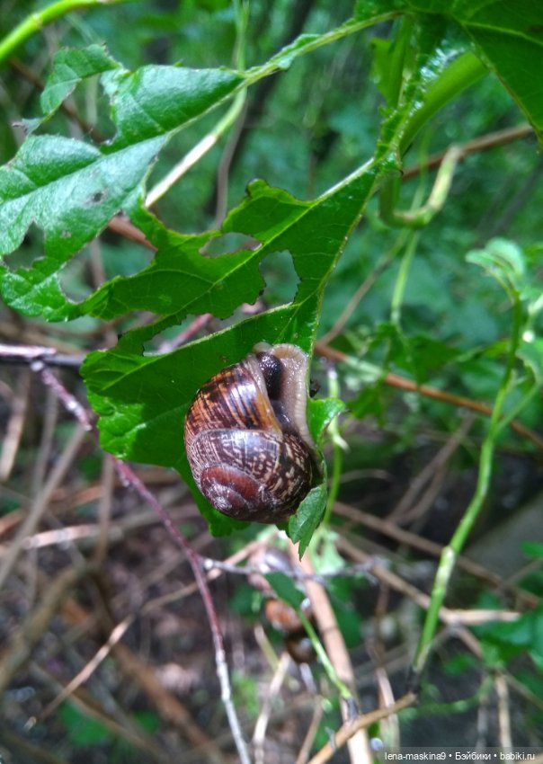 Человечки из детства — Игрушки СССР и советского детства: резиновые