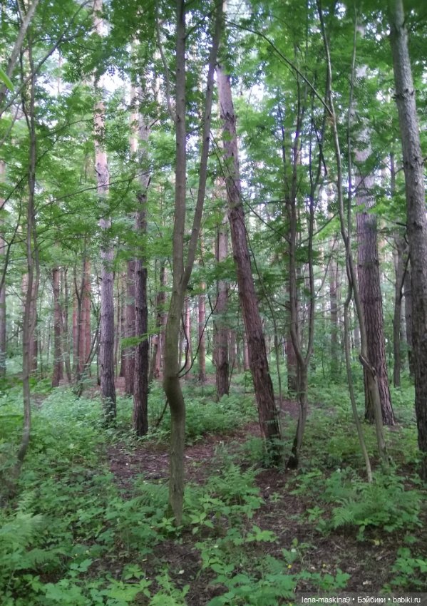 Человечки из детства — Игрушки СССР и советского детства: резиновые