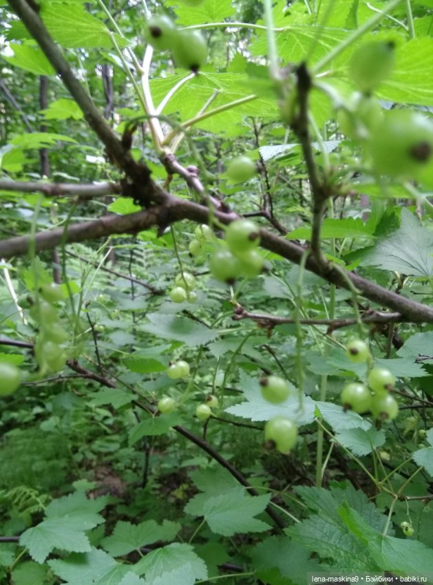 Человечки из детства — Игрушки СССР и советского детства: резиновые