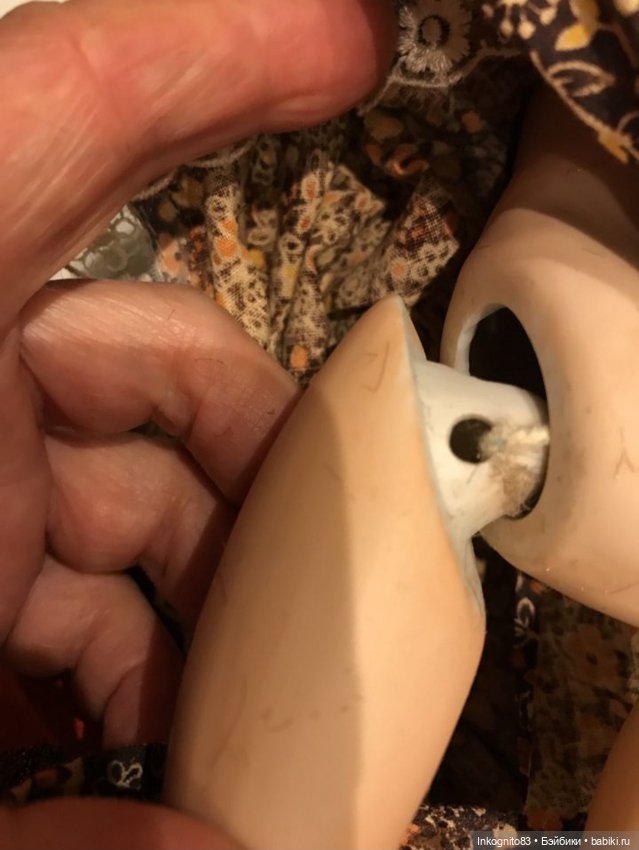 Помогите опознать куколку (фото 3)