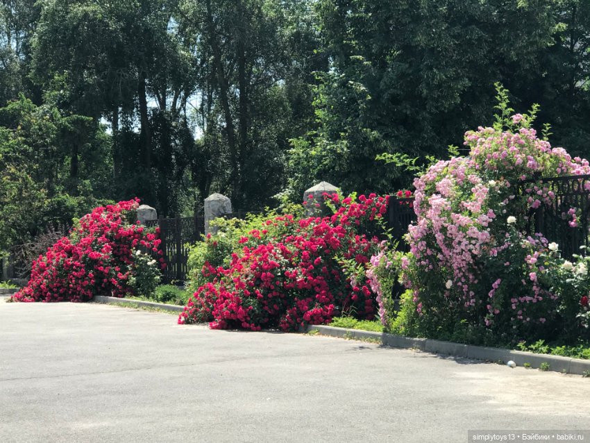Гибридизация и немного балета