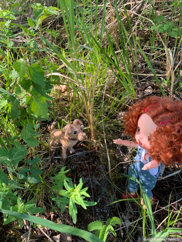 Просто выдался хороший, солнечный денёк (фото 6)