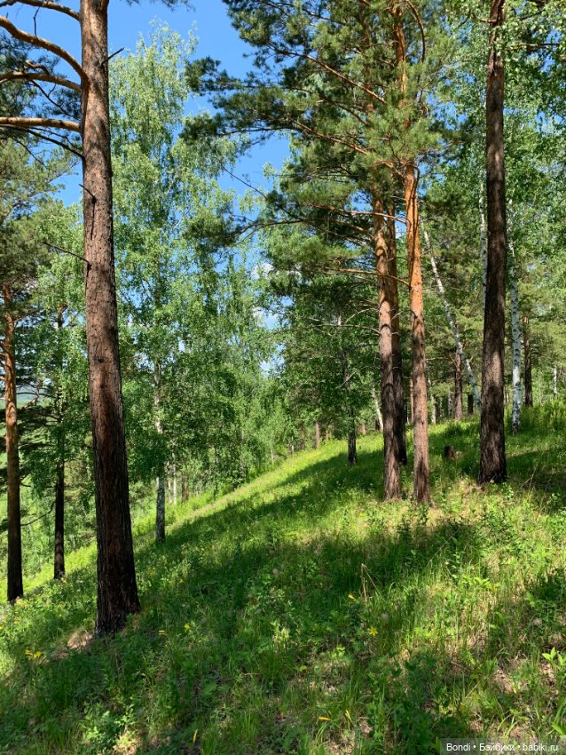 Просто выдался хороший, солнечный денёк (фото 4)