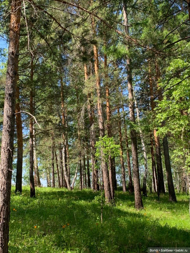 Просто выдался хороший, солнечный денёк