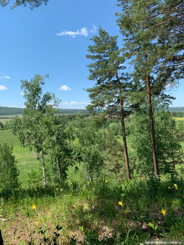 Просто выдался хороший, солнечный денёк (фото 2)