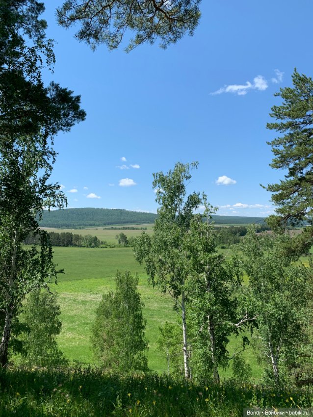 Просто выдался хороший, солнечный денёк (фото 3)