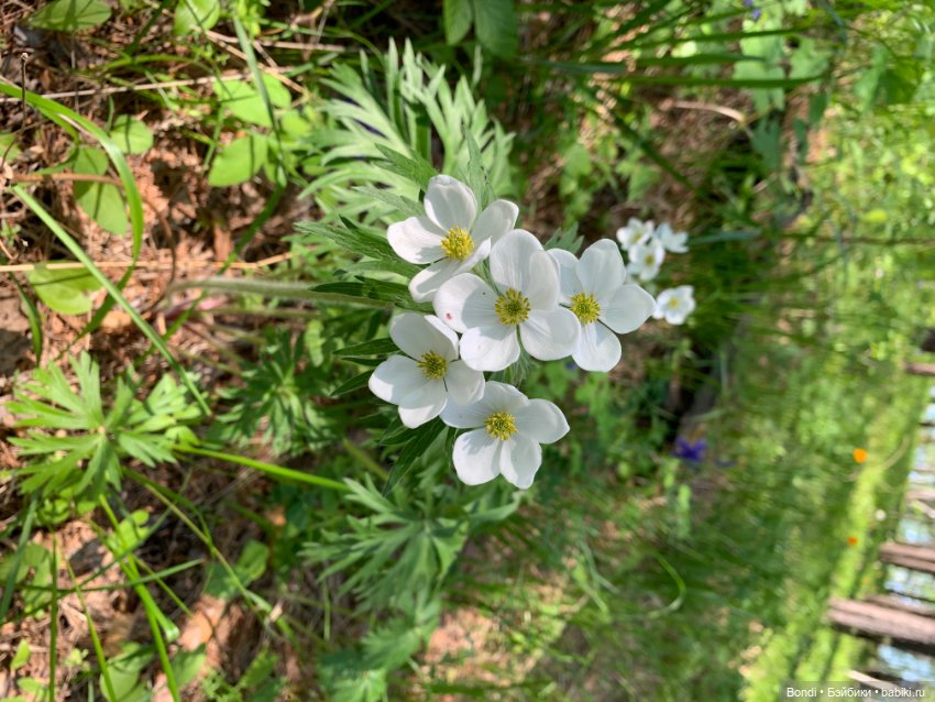 Просто выдался хороший, солнечный денёк